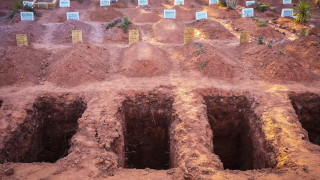 Световната здравна организация СЗО призова днес за достъп до медицински