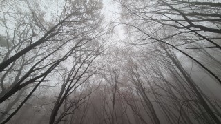 Днес ще бъде облачно и мъгливо Това съобщават от НИМХ
На