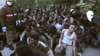 Над 20 хил въоръжени с хладни оръжия мигранти от страните