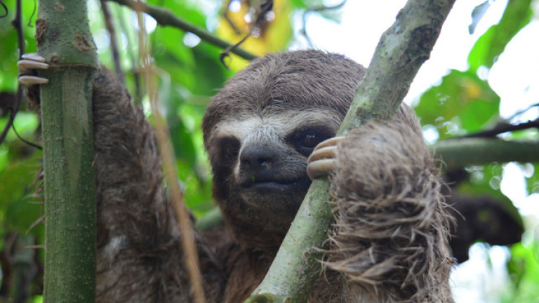 Изображение 299453