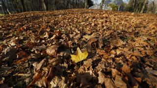 Облачно, с валежи преди обяд