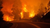 В Португалия повдигнаха обвинения на 12 души за пожара през 2017 г., убил 66 души