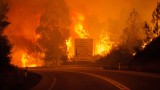 В Португалия повдигнаха обвинения на 12 души за пожара през 2017 г., убил 66 души