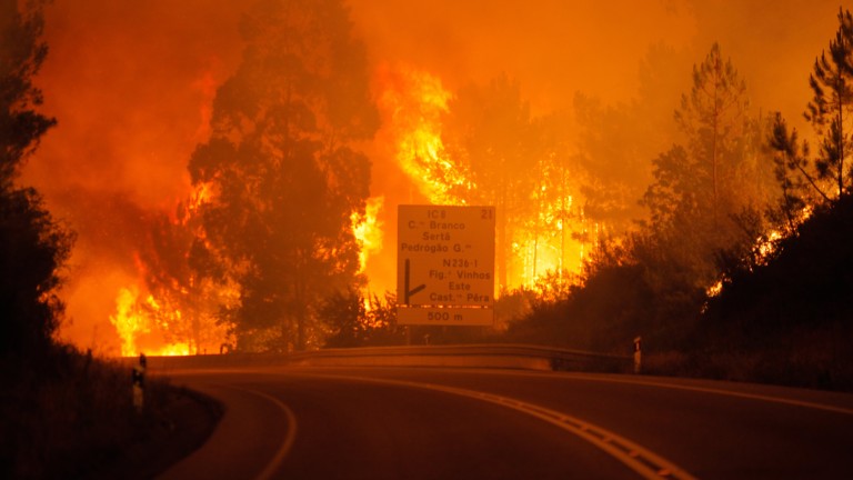 Отново горски пожари в Португалия