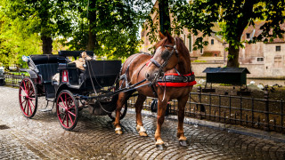 Файтон е блъснал пейка на дървен подиум на заведение за бързо