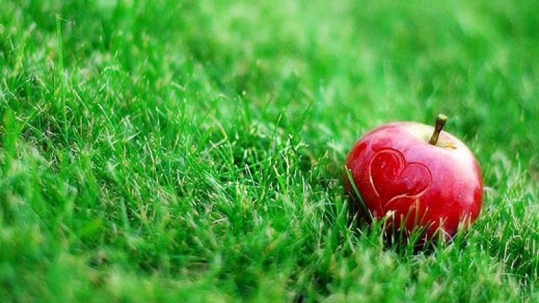 Изображение 39953