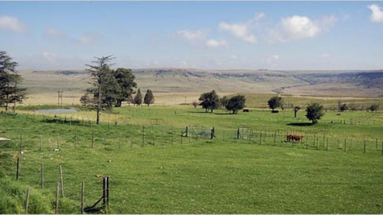 Изображение 50054