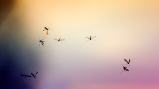 Топлите летни дни за тази година изглежда приключиха и сега