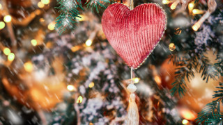 На Коледа не ми се пишат политически глупости Лошото е