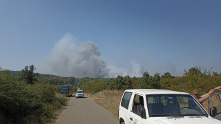Пожарът край село Кубадин е потушен