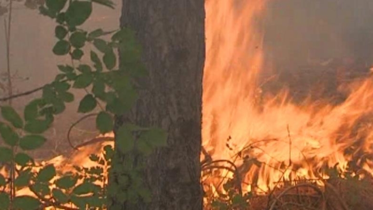Евакуираха къщи в тополовградското село Българска поляна заради пожар