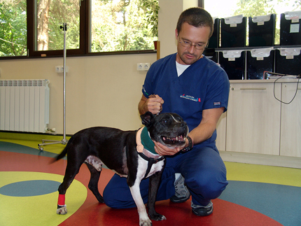Наши ветеринари поставиха първия на Балканите пейсмекър на куче