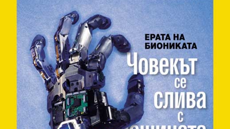 Изображение 91354