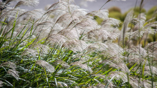 През 2025 г ще започне строителството на първия в Русия