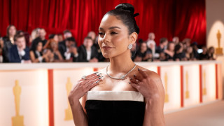 Като се замислим знаем доста неща за Ванеса Хъджинс Като например