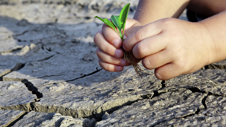 „Зеленият ГУЛАГ“ на въглеродните ограничения