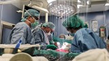 Медицинските показания са водещи при трансплантация