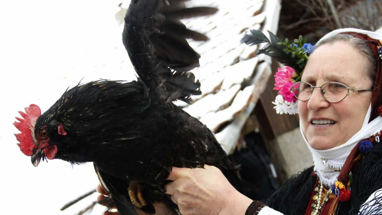 Изображение 274054