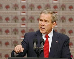 Буш поиска още $770 млн. за кризата в развиващите се страни