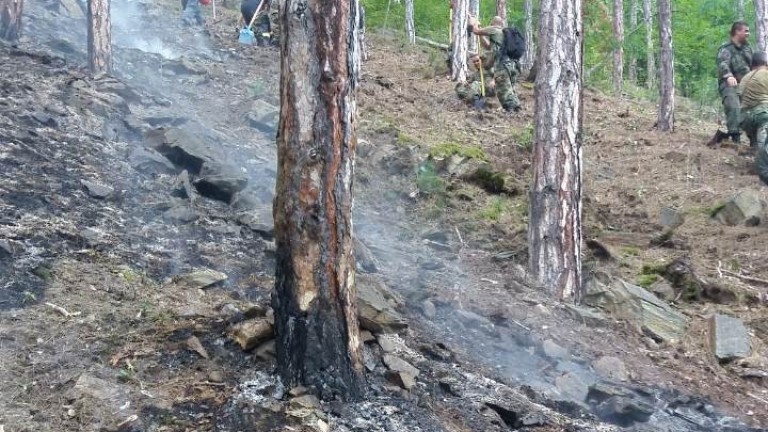 Овладян е големият пожар край Девин 