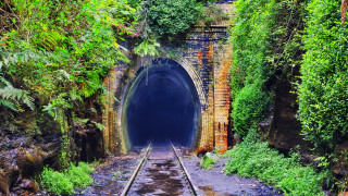 Тунелът със светещите червеи