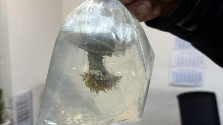 Изображение 745354