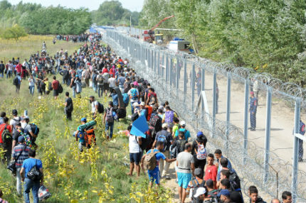 "Отворете границата!", изисква тълпа имигранти на сръбско-унгарската граница  