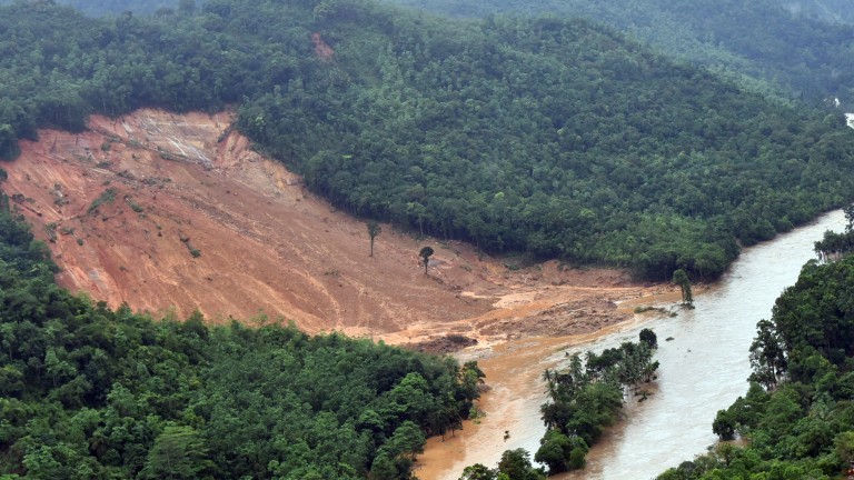 Изображение 296054