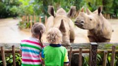 8 от най-големите зоопаркове в света