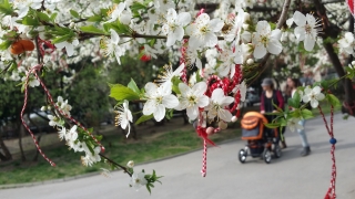 Днес ще бъде предимно слънчево След обяд ще се развива
