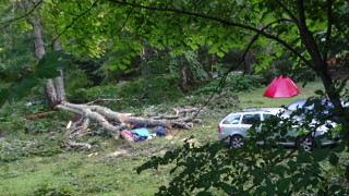 Бор падна върху палатка в къмпинг в Рилския манастир, жена загина