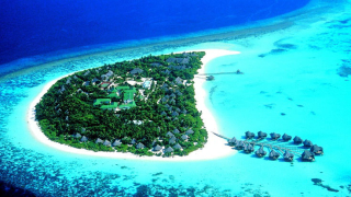 Тази история е за началото на 90 те години на миналия