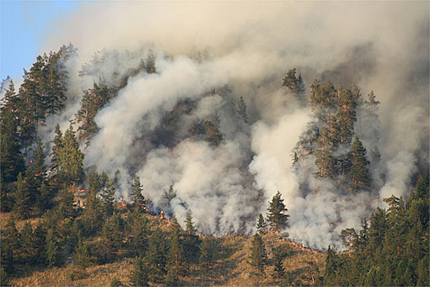100 души гасят пожара между елховските села