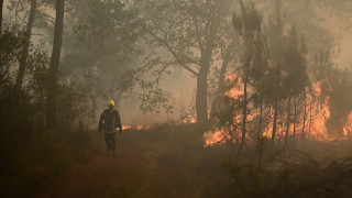Пожарникари и самолети се борят с горския пожар избухнал във