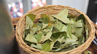 Колумбия и Боливия ще поискат съвместно от Комисията на ООН