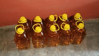 Най малко седем души са загинали в Ленинградска област в Северозападна