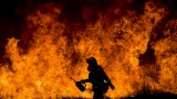  38 000 евакуирани поради горския пожар в Калифорния 