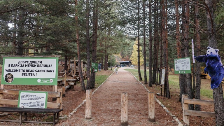 Изображение 738554