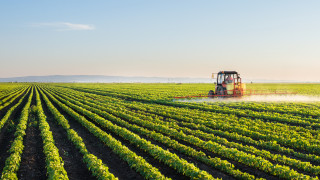 Земеделието е допринесло почти толкова за изменението на климата колкото