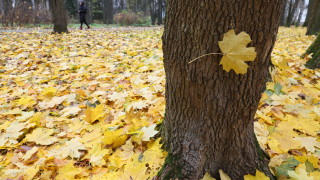 Днес ще бъде предимно слънчево с временни увеличения на високата