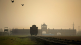  Разсекретяват документи за Холокост, които „ пренаписват глави от историята” 