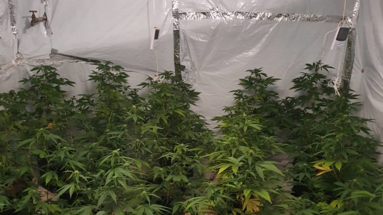 Разкриха нарколаборатория в дърводелски цех в Панагюрище