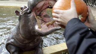 Последен шанс за Hypo Real Estate