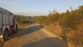 Пожар гори в района на гробището в Ямбол при изхода