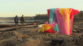 Светът се отказва от пластмасовите сламки, но алтернативите ще му струват в пъти повече