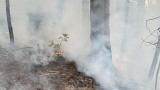 Съставиха акт на мъж, запалил огън в двора си в село Плоски