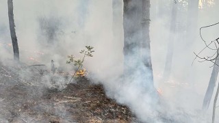 Съставиха административен акт за нарушение на мъж запалил огън в