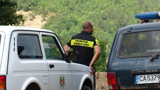 Горски служители и полиция задържаха заподозрян за незаконна сеч след