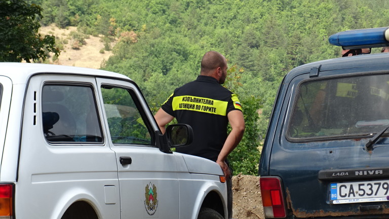 Агенцията по горите става с ранг на министерство?