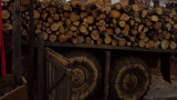 Над 1 милион кубика дърва за огрев за зимния сезон